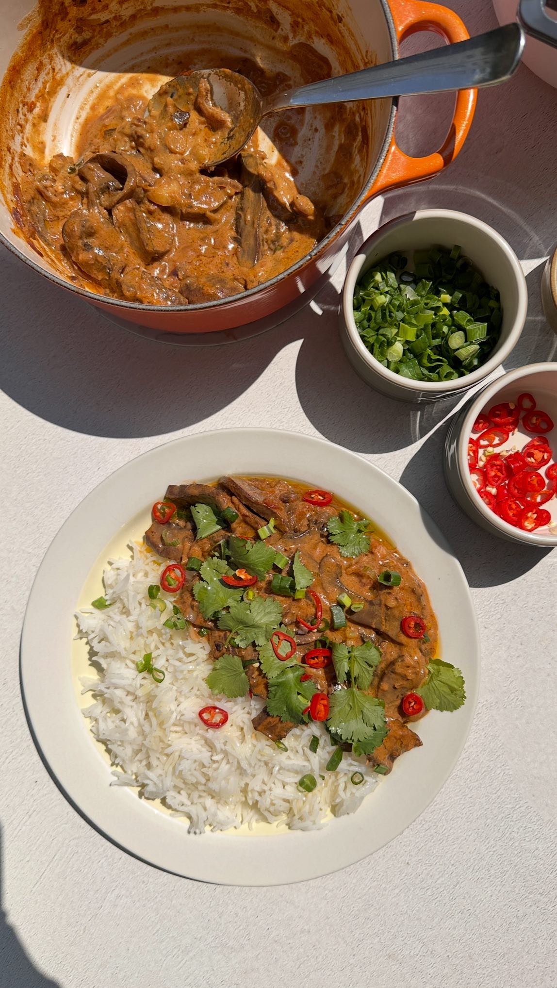 Basmati Rice with Plant-Based North Indian Curry