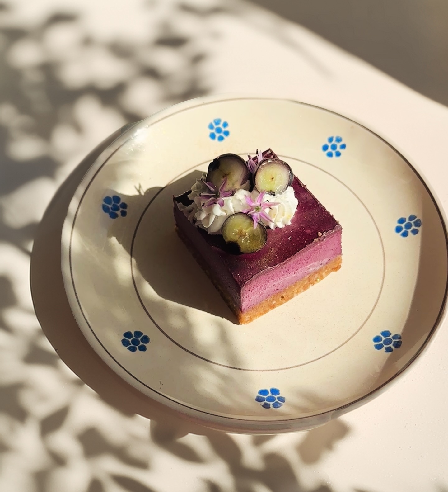Easy Raw Blueberry Cheesecake