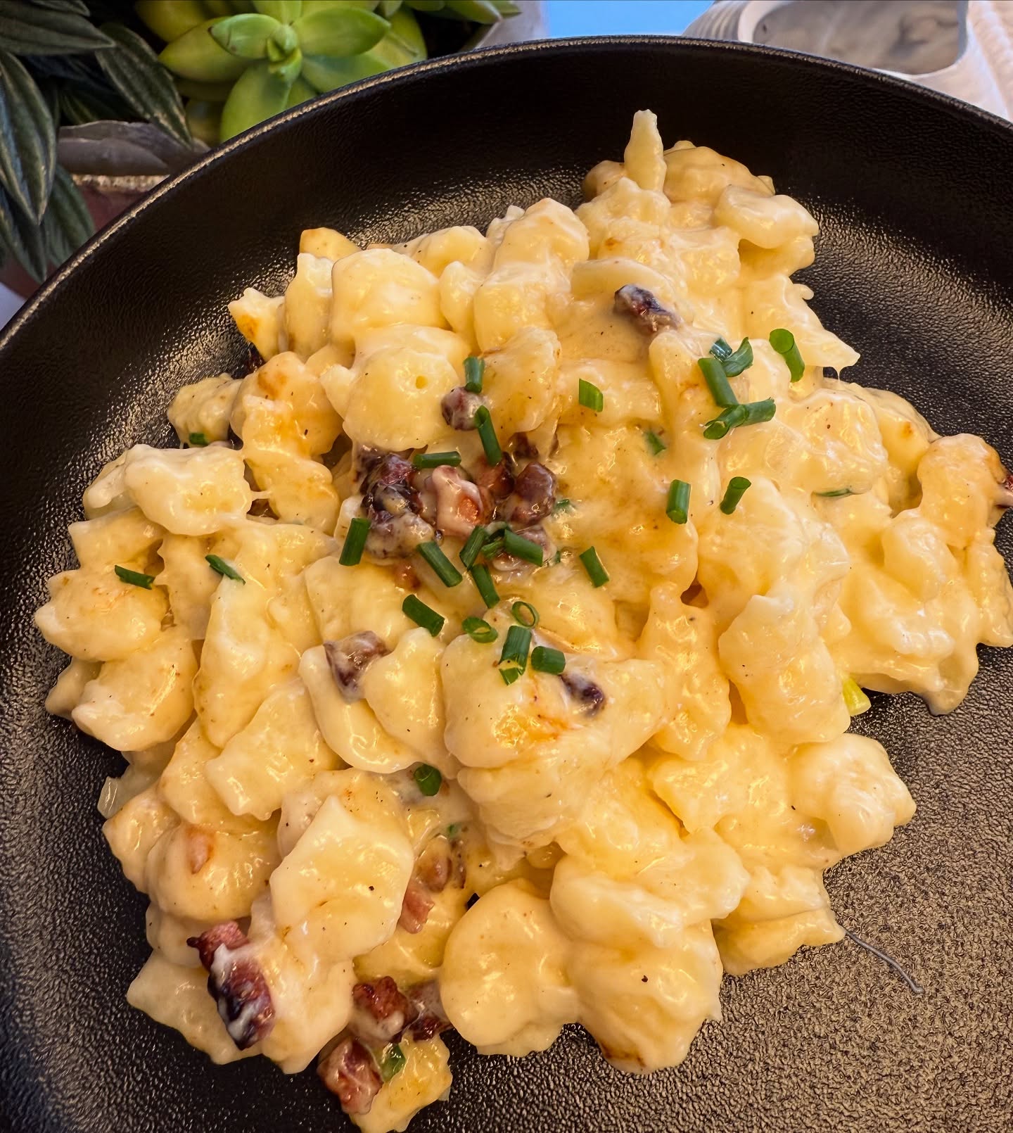 Quick Cheese Spaetzle with Field Salad