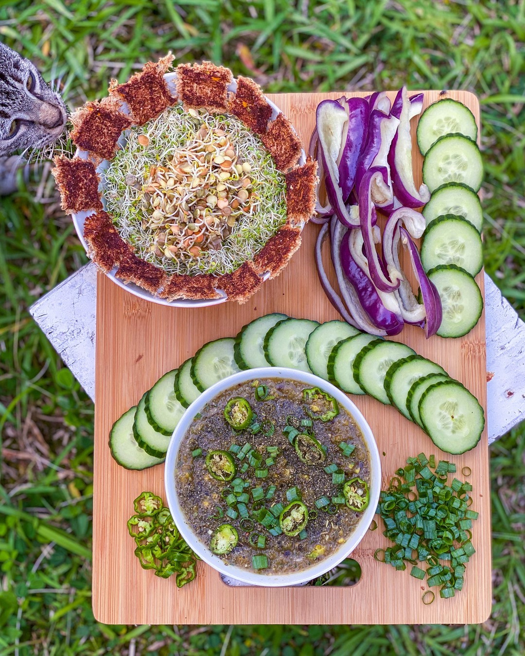 Raw Vegan Vegetable Platter with Dip