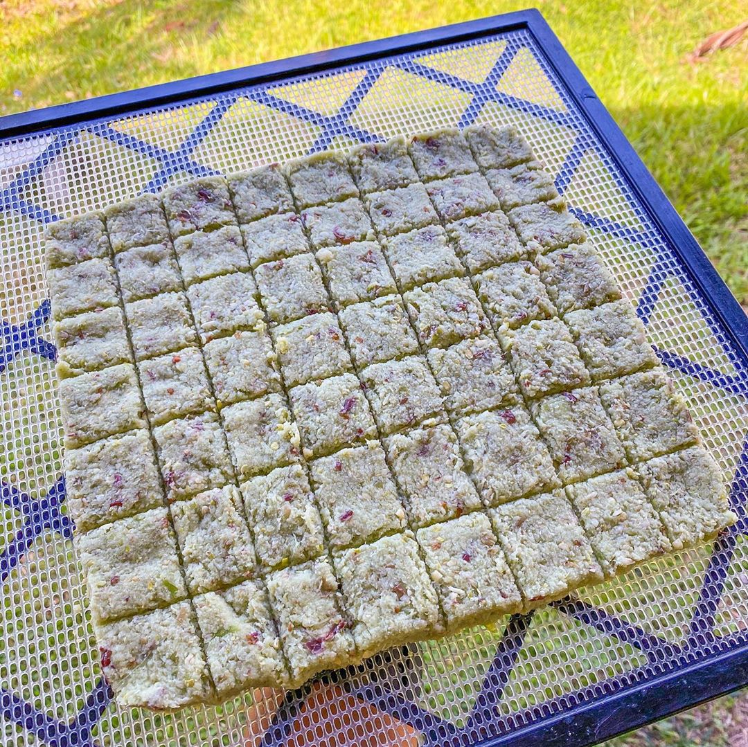 Raw Celery Pulp Crackers