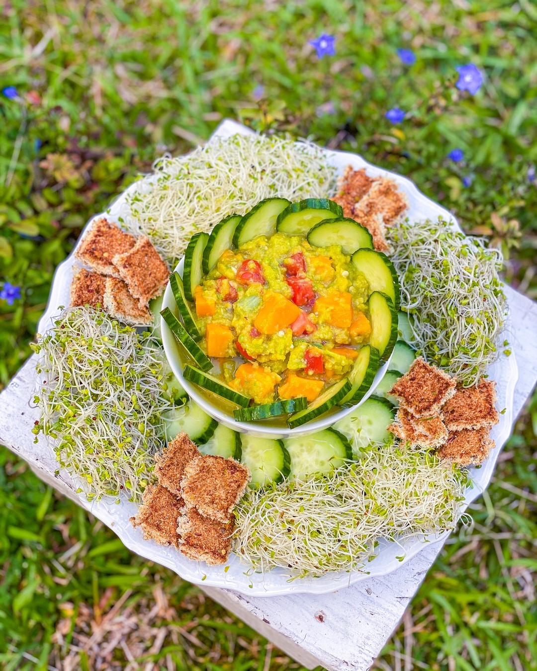Raw Avocado Dip and Celery Crackers