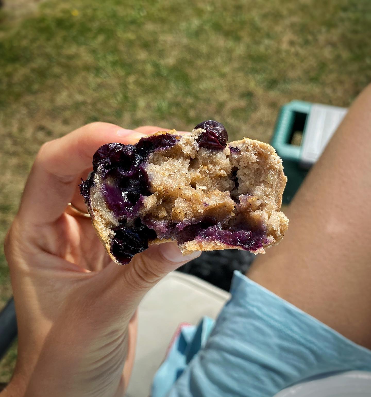 Gluten-Free Vegan Blueberry Muffins