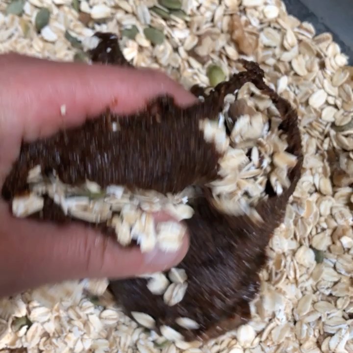 Oil-Free Tahini Granola with Seeds and Nuts