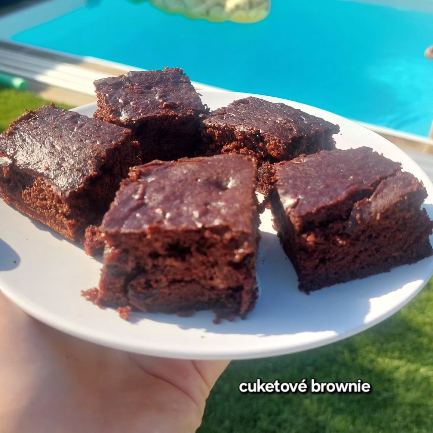Zucchini Chocolate Brownie