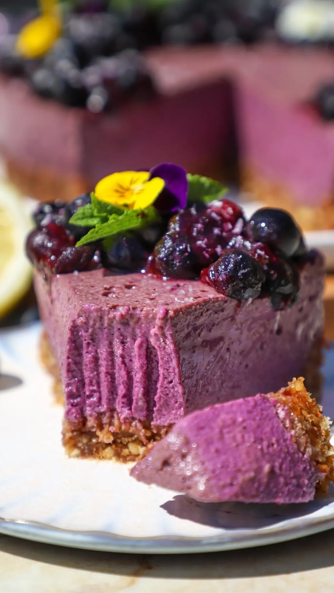 Healthy No-Bake Blueberry Quark Tart