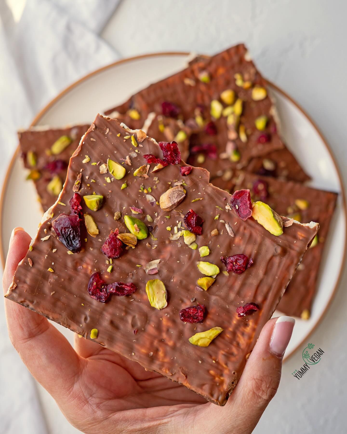 Chocolate Matzo Bark
