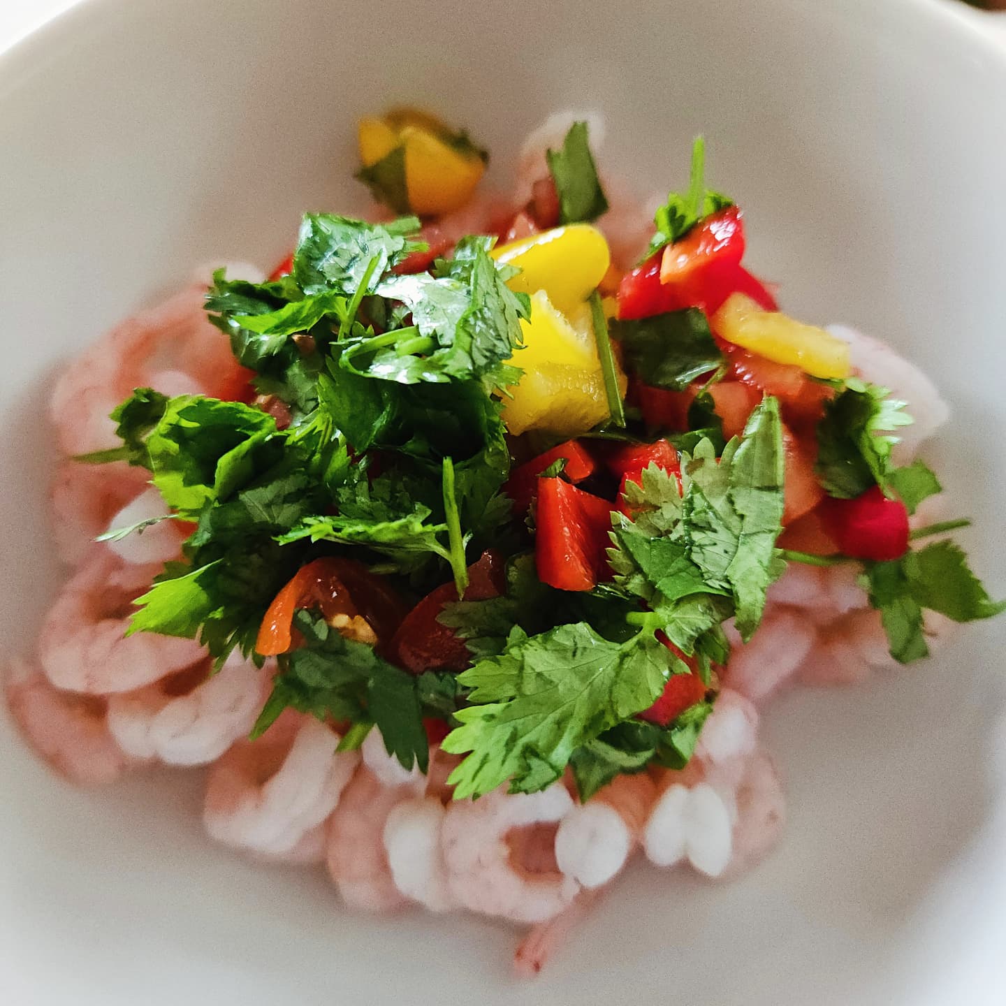 Fresh Spicy Prawn and Coriander Salad