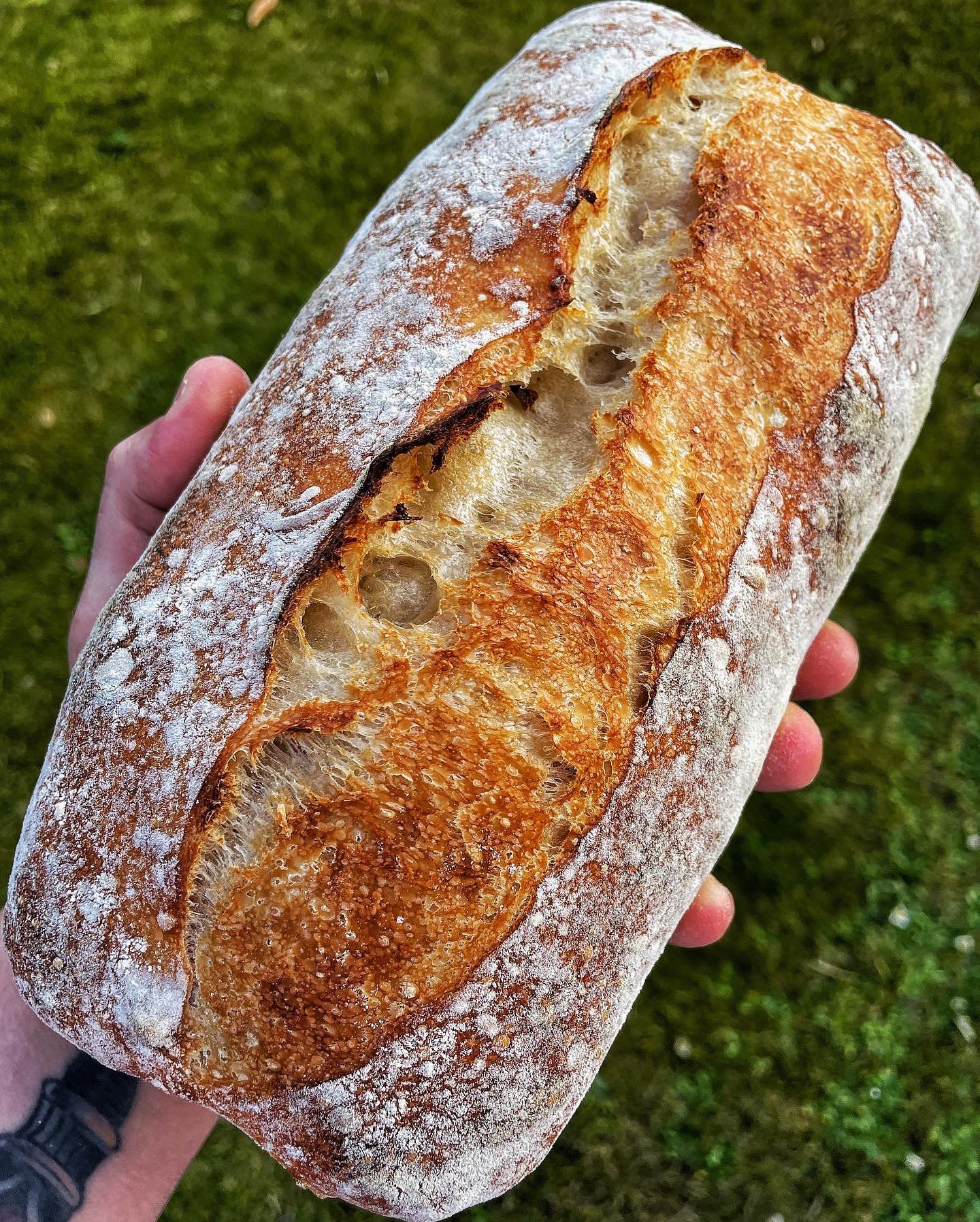 Artisan Sourdough Ciabatta Bread