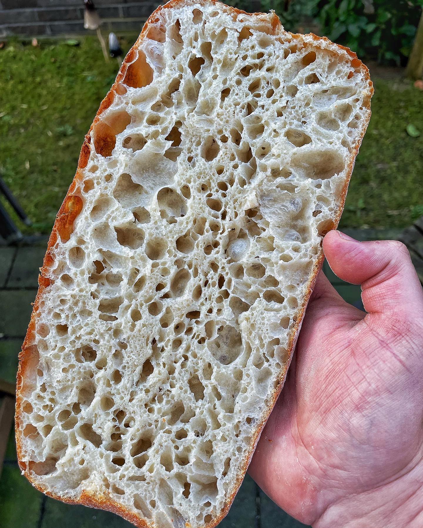 Artisan Sourdough Ciabatta Bread