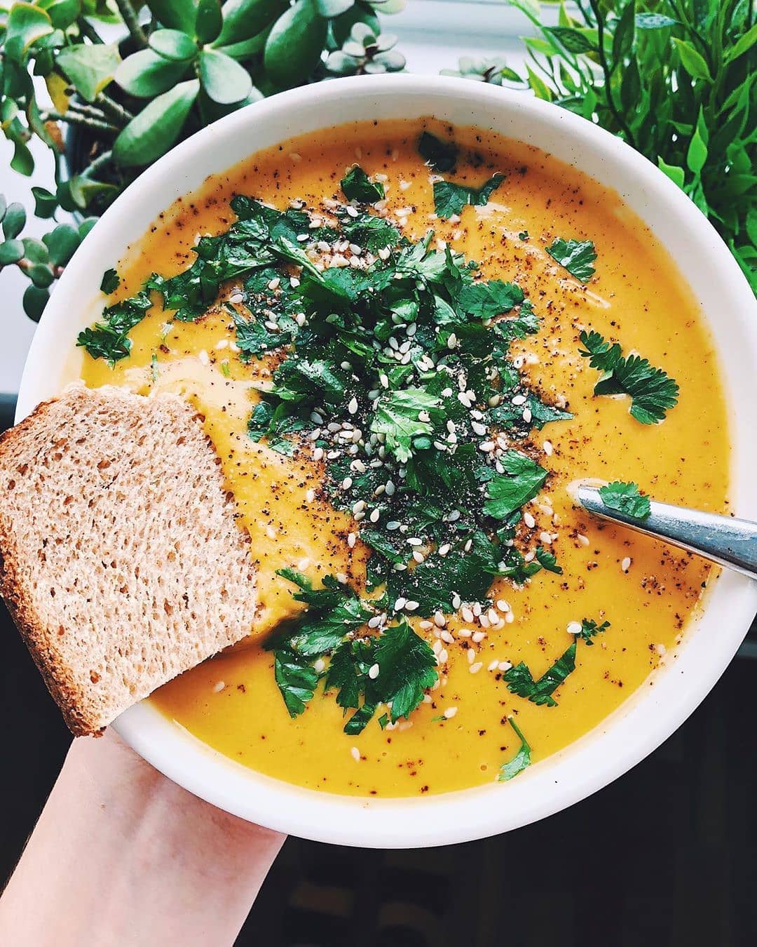 Curried Sweet Potato Butternut Squash and Apple Soup