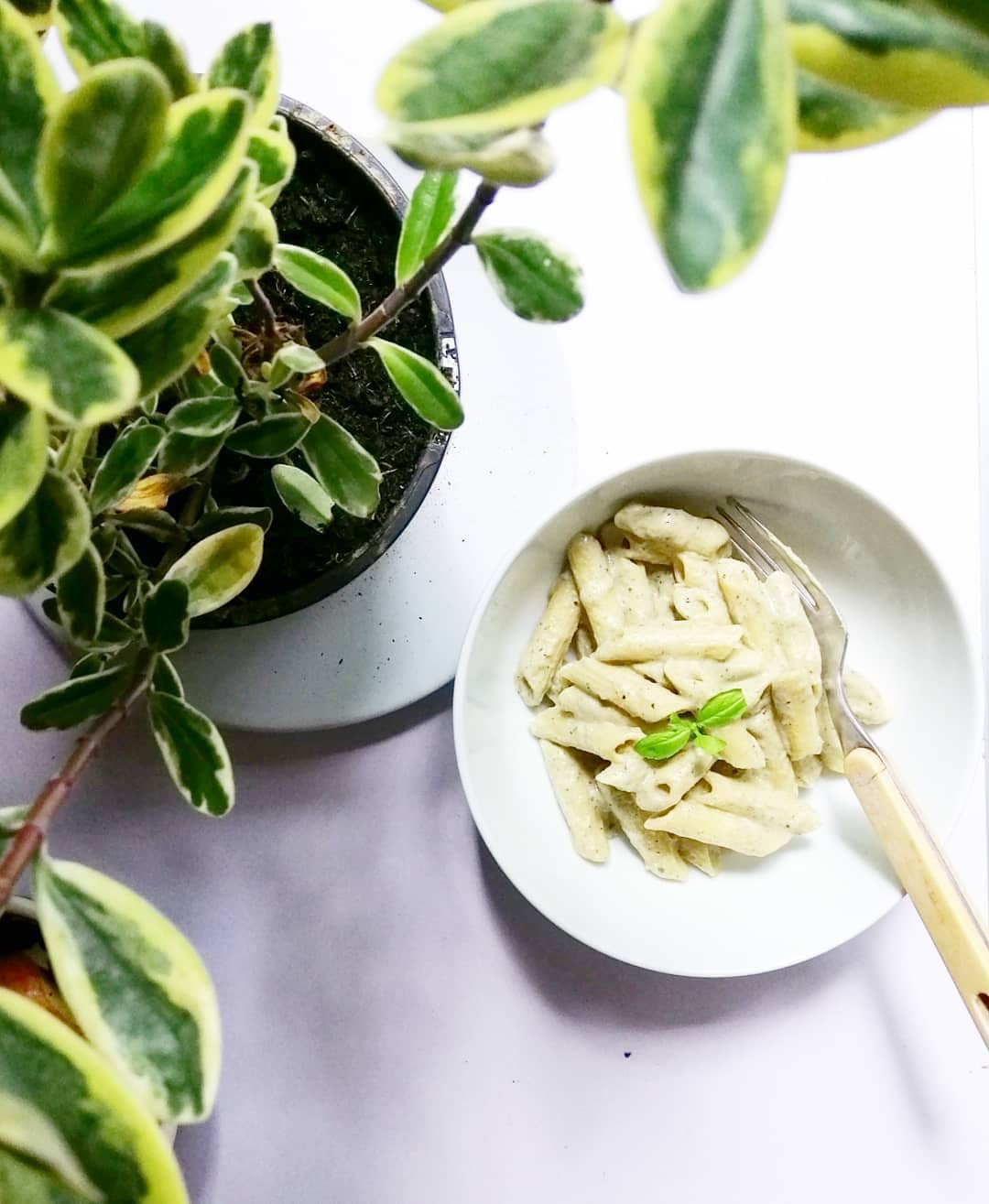 Gluten-Free Creamy Vegan Pasta