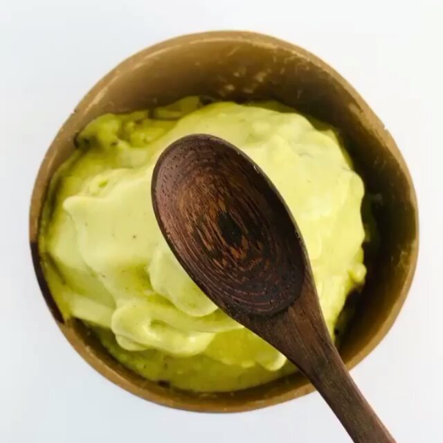 Mint Chocolate Chip Nice Cream