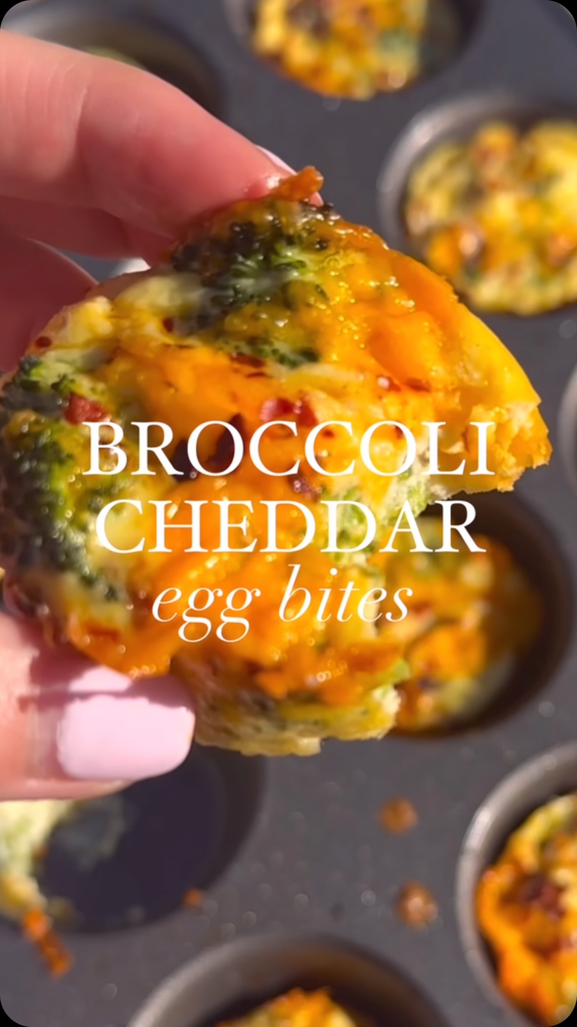 Broccoli Cheddar Egg Bites