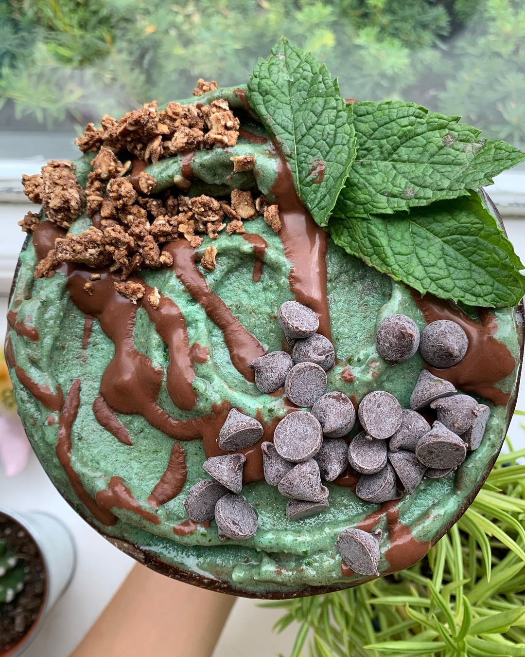 Mint Chocolate Chip Breakfast Ice Cream Bowl