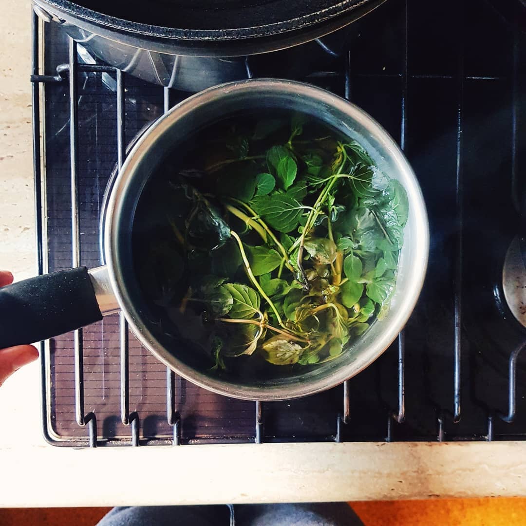 Refreshing Mint Tea with Fresh Leaves