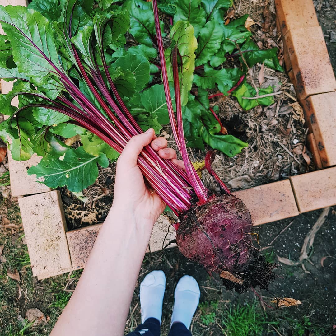 Detoxifying Beetroot and Berry Smoothie