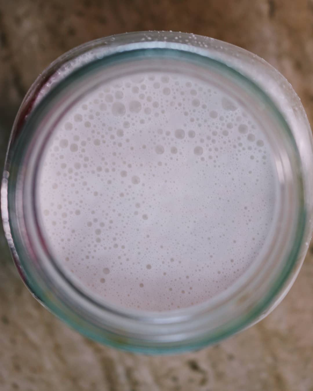 Homemade Macadamia Nut Milk