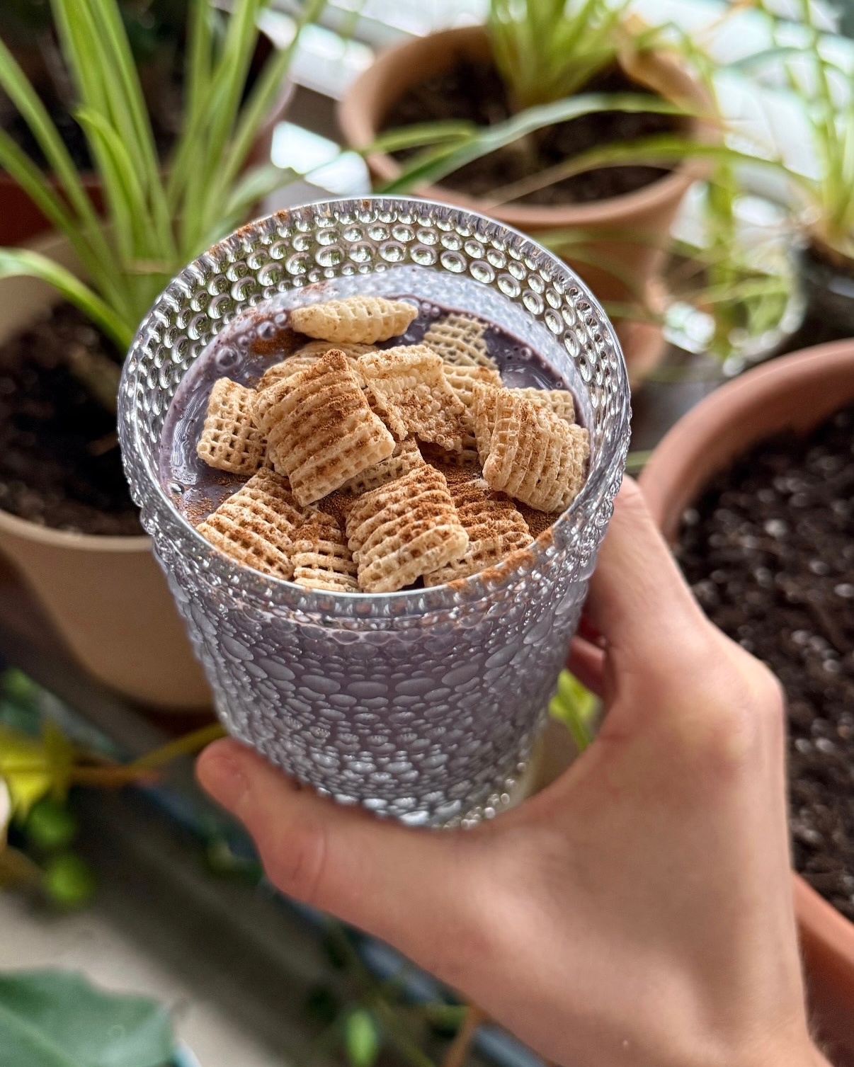 Blueberry Protein Post-Run Smoothie