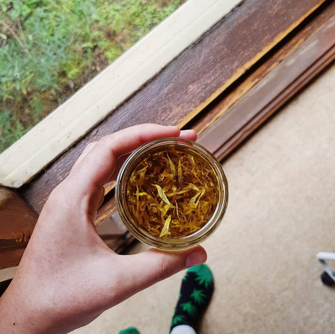 Calendula Infused Herbal Oil