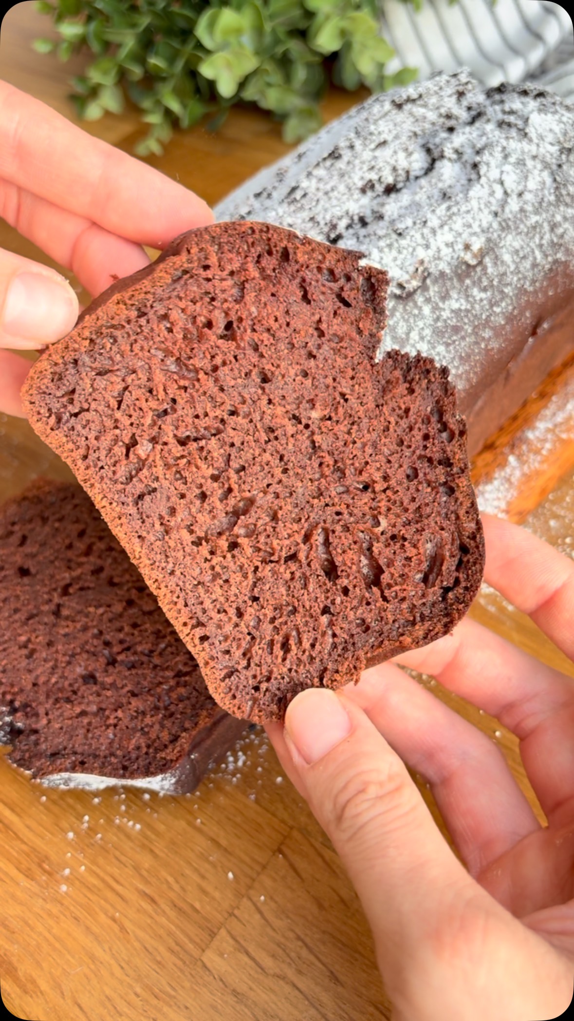 Cocoa Plumcake with Egg Whites