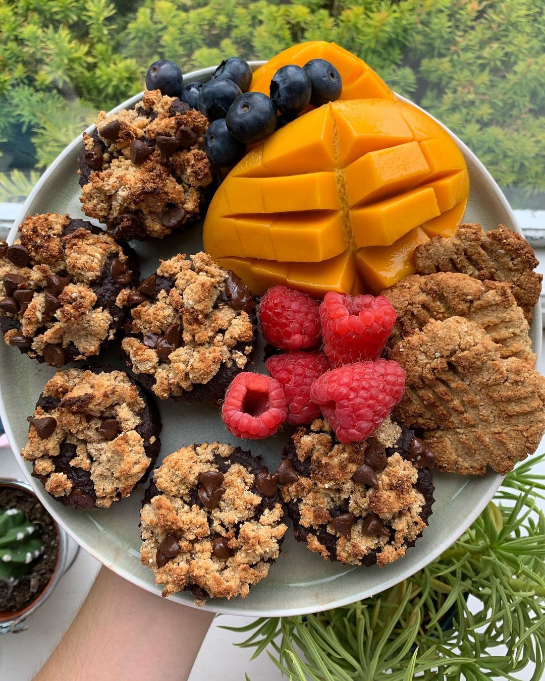 Vegan Breakfast Brookies and Peanut Butter Cookies