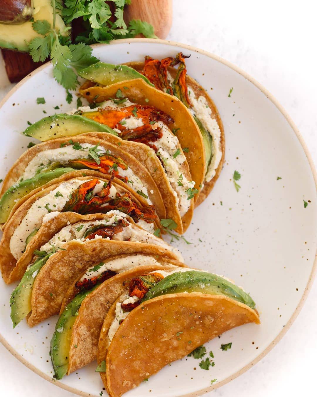 Squash Blossom Vegan Quesadillas
