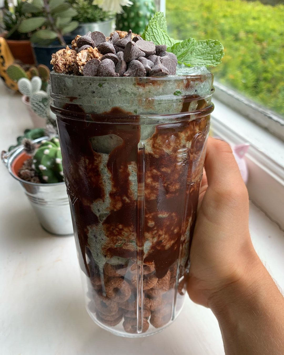 Mint Chocolate Chip Thickshake