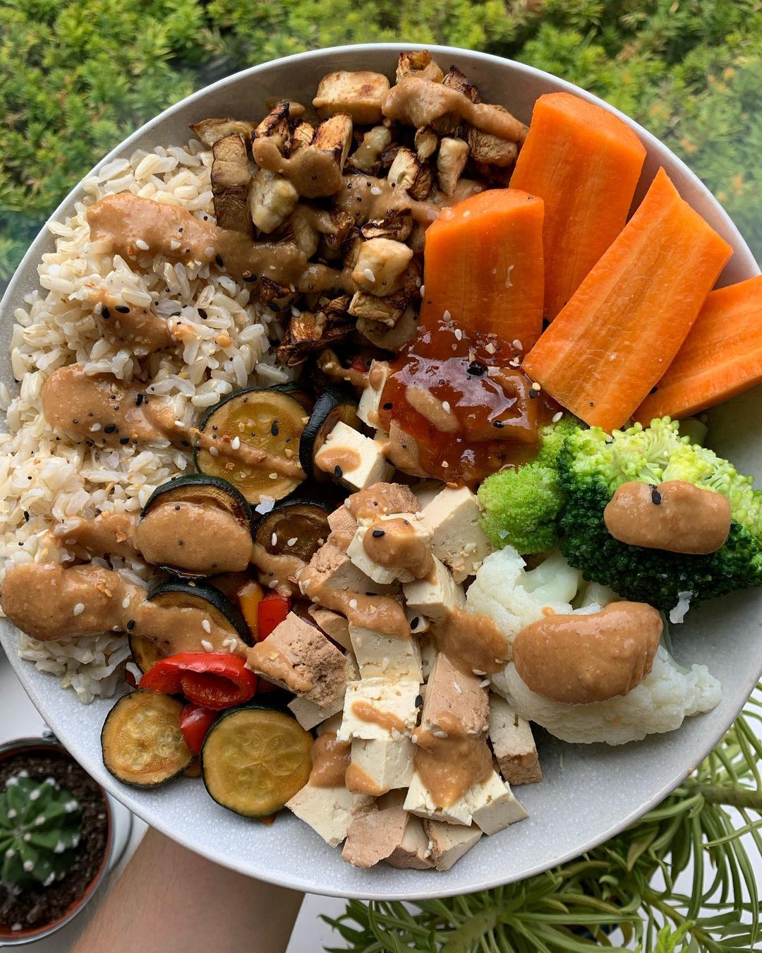 Miso Peanut Butter Veg N Rice Bowl