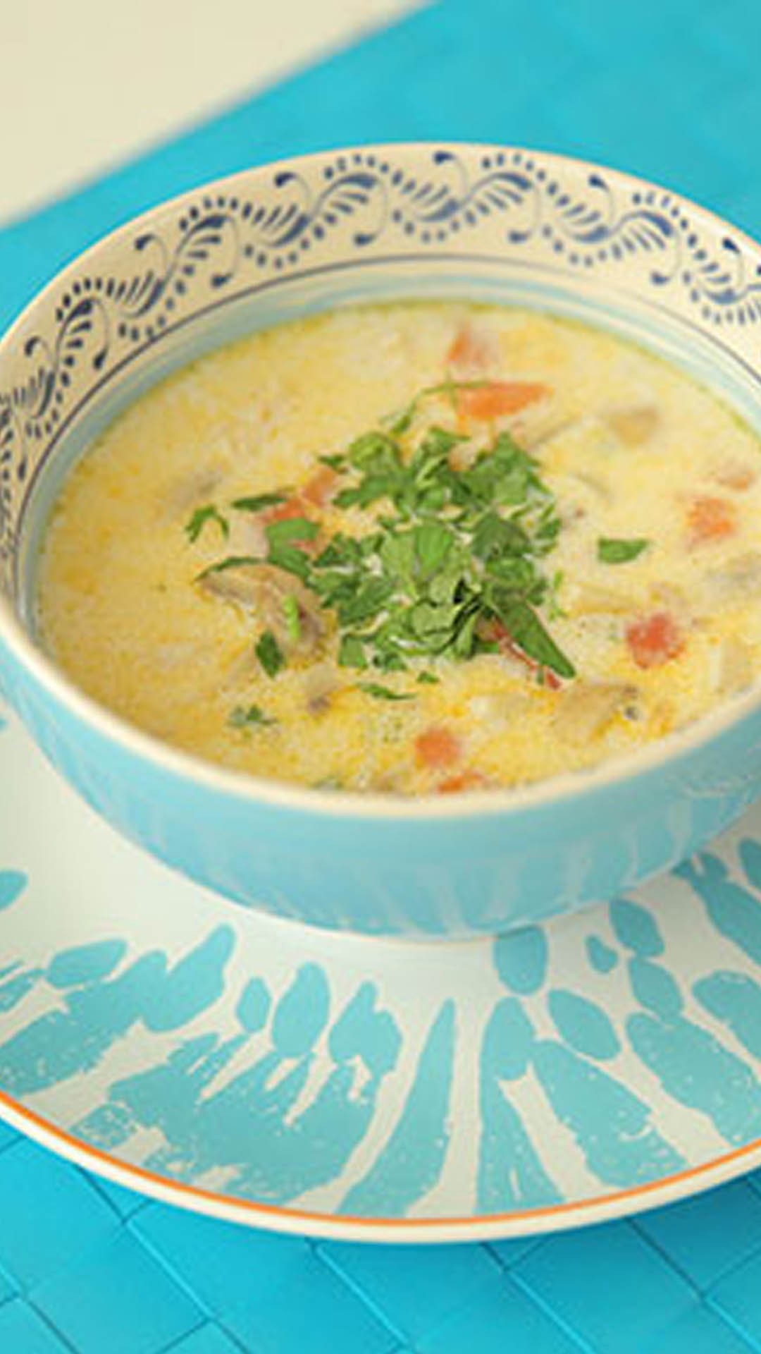 Chicken and Vegetable Soup