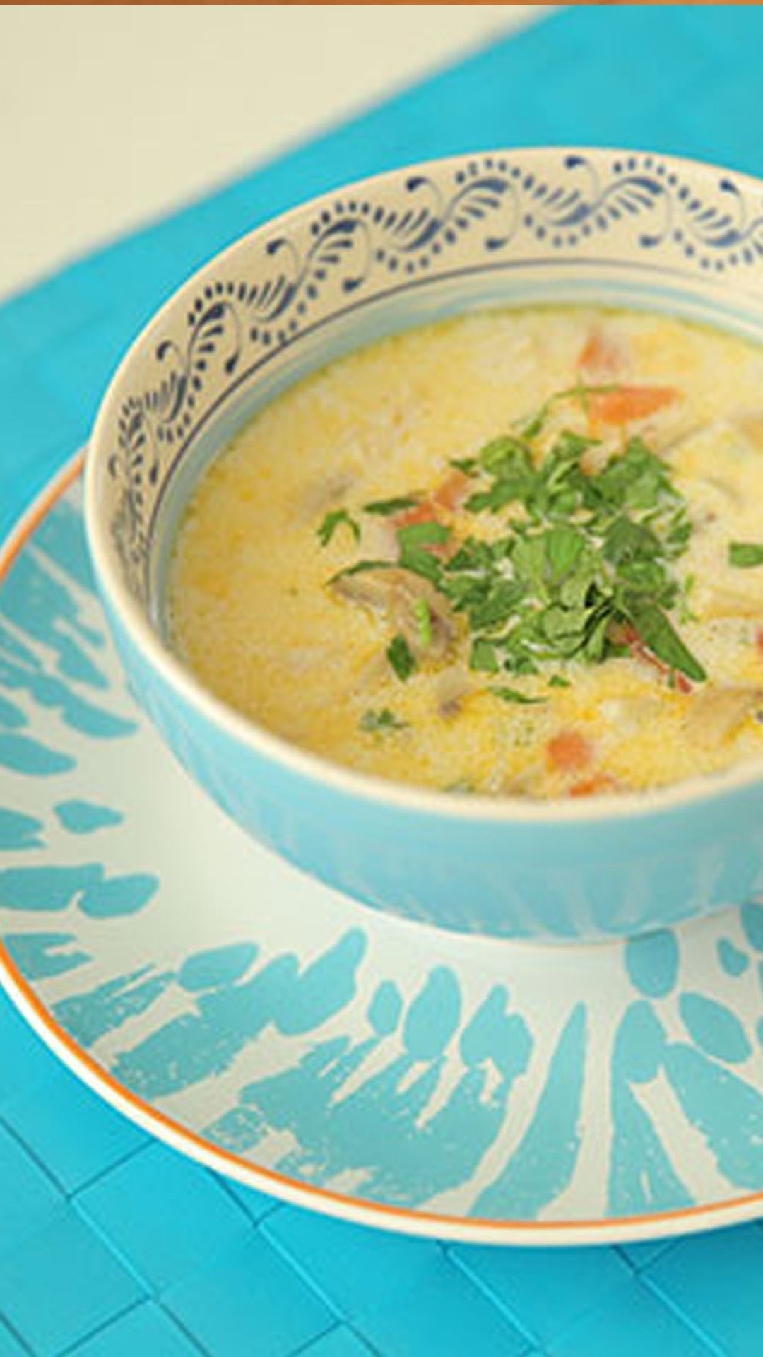 Chicken and Vegetable Soup