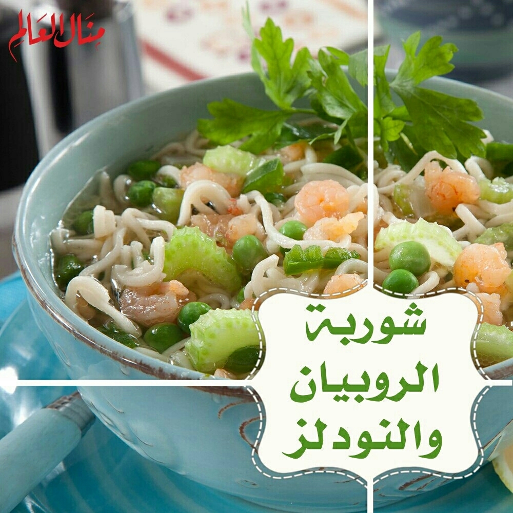Shrimp and Noodle Soup
