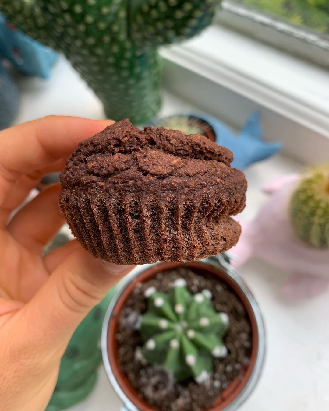 Single Serve Breakfast Chocolate Cupcakes
