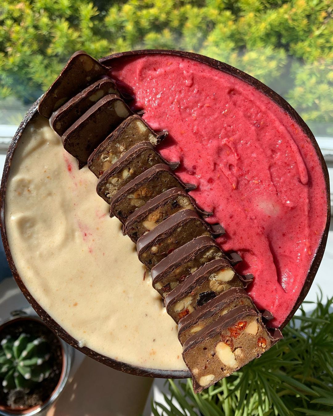 Peanut Butter Jelly Nice Cream Bowl