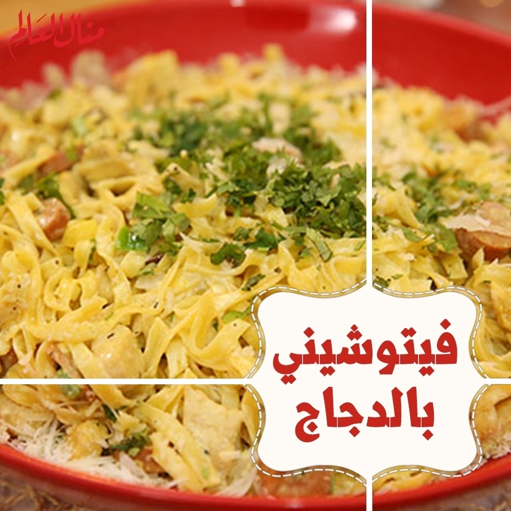 Chicken Fettuccine with Vegetables
