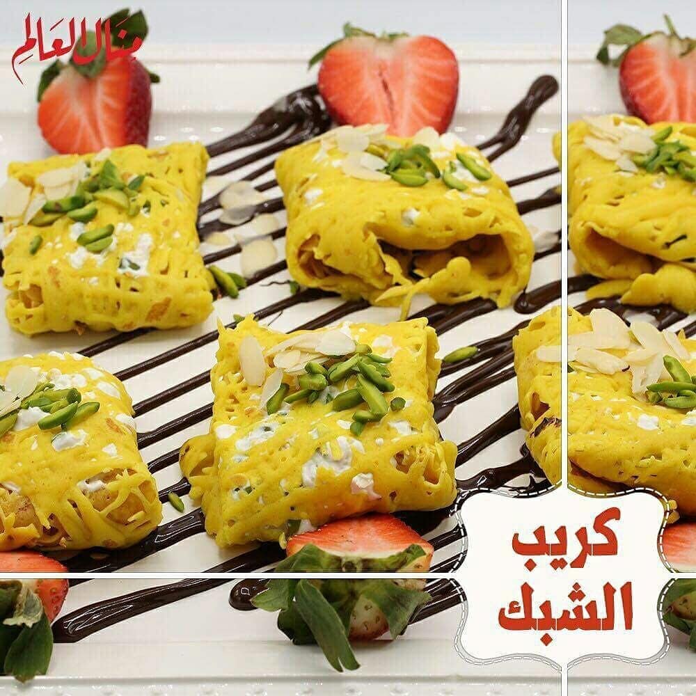 Crepe with Net Design