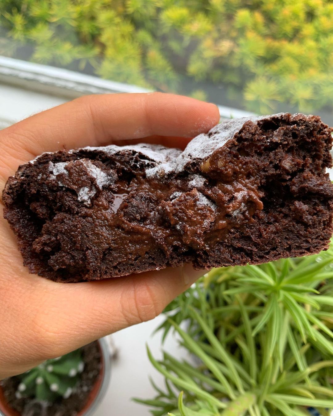Best Ever Fudgey Vegan Healthy Brownies