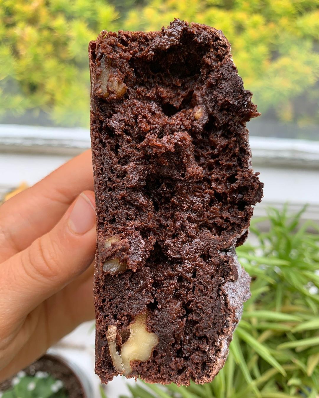 Best Ever Fudgey Vegan Healthy Brownies