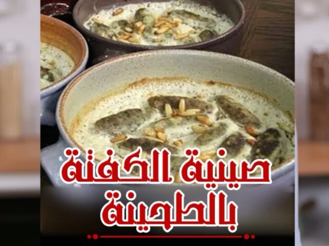 Kofta Tray with Tahini
