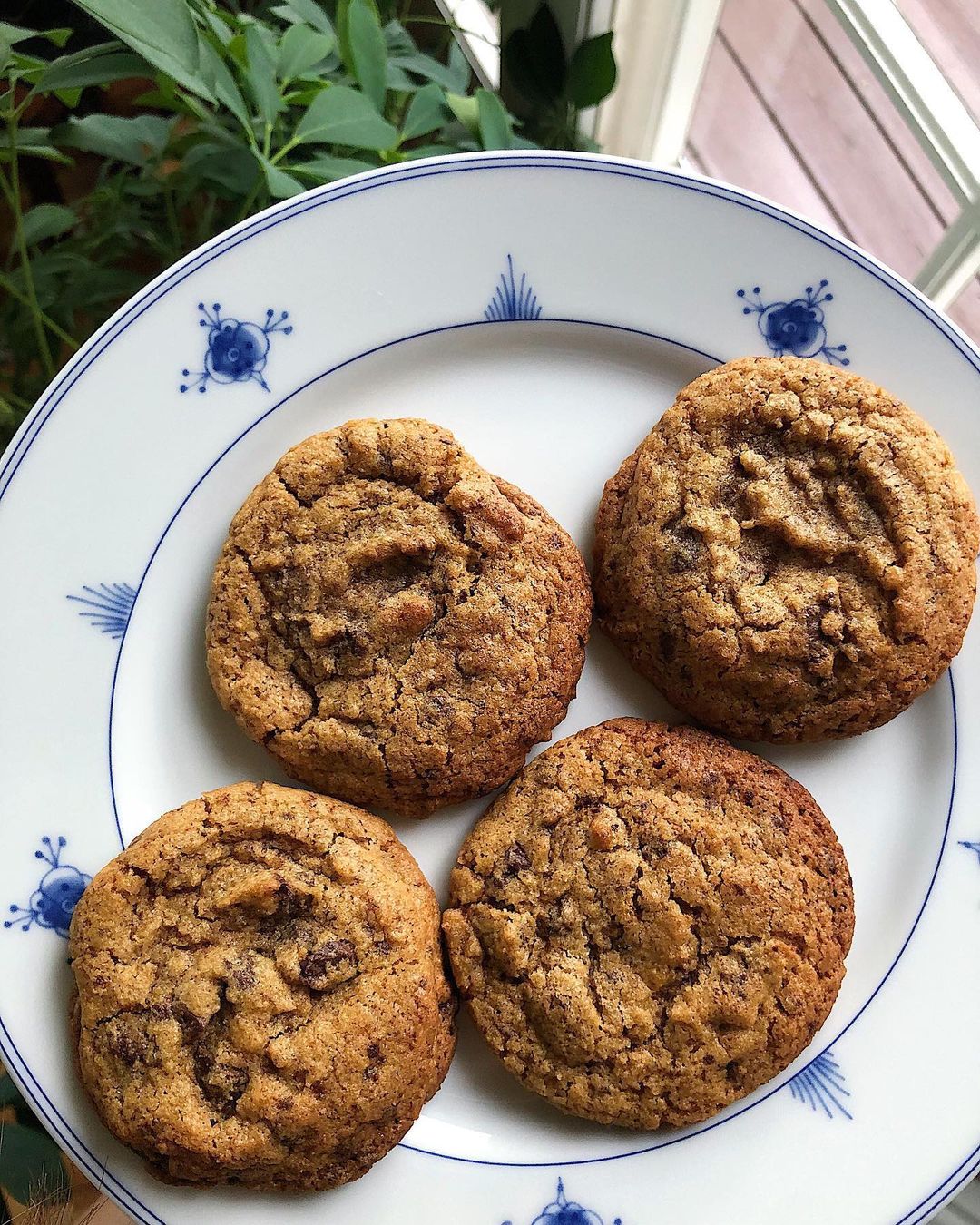 Chocolate Chip Cookies