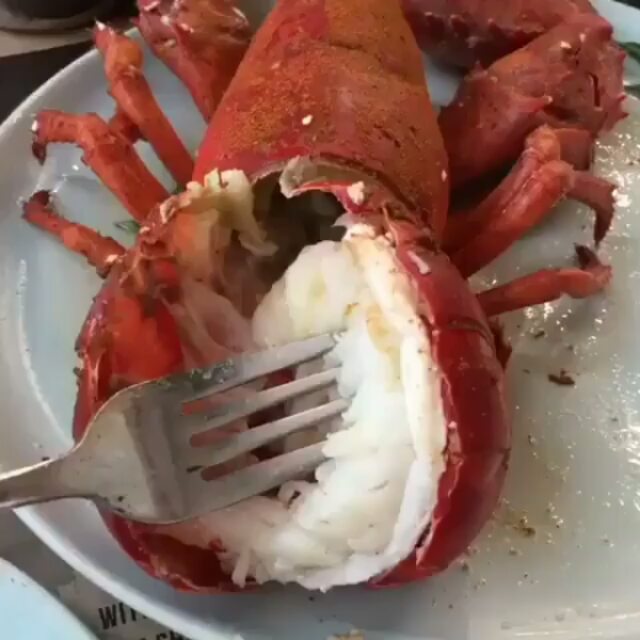 Lobster Served with Butter
