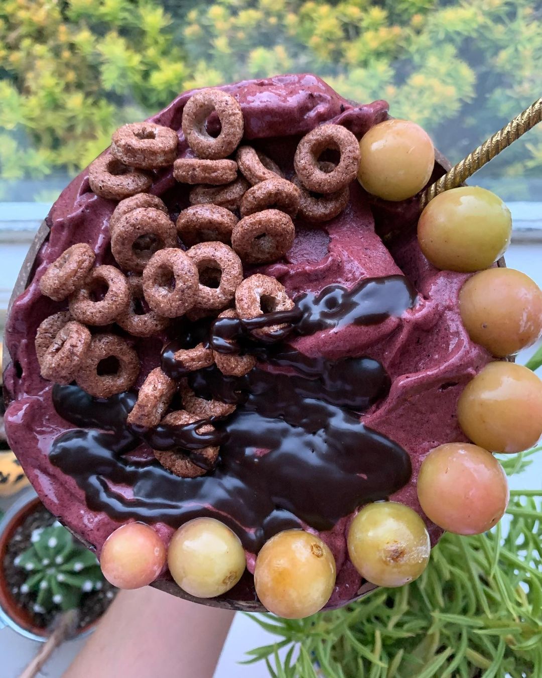 Frozen Chocolate Blueberry Nice Cream
