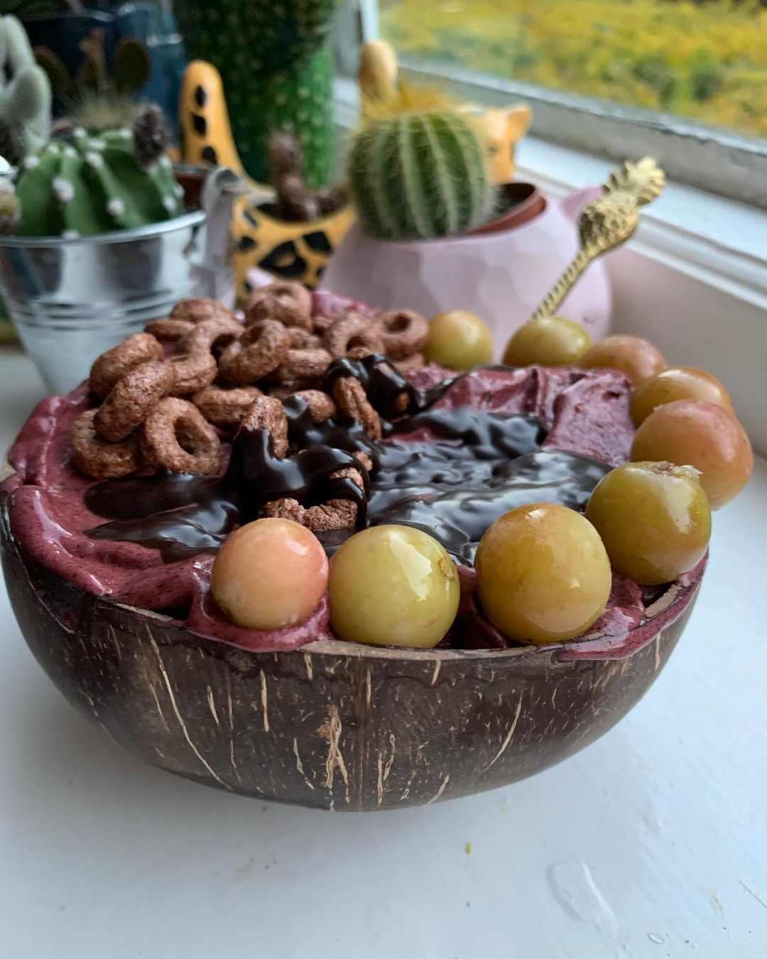 Frozen Chocolate Blueberry Nice Cream