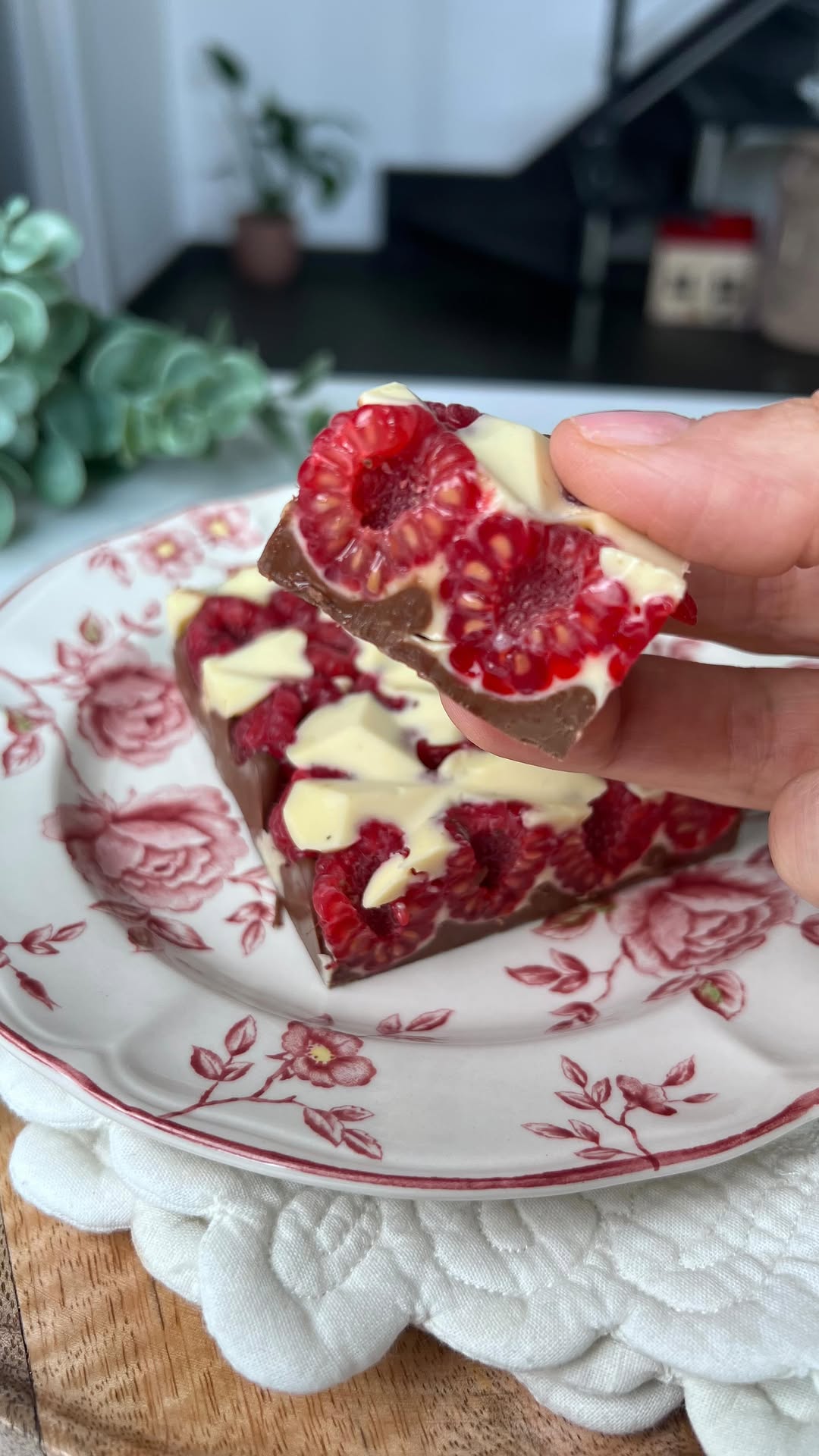 Chocolate and Raspberry Bar