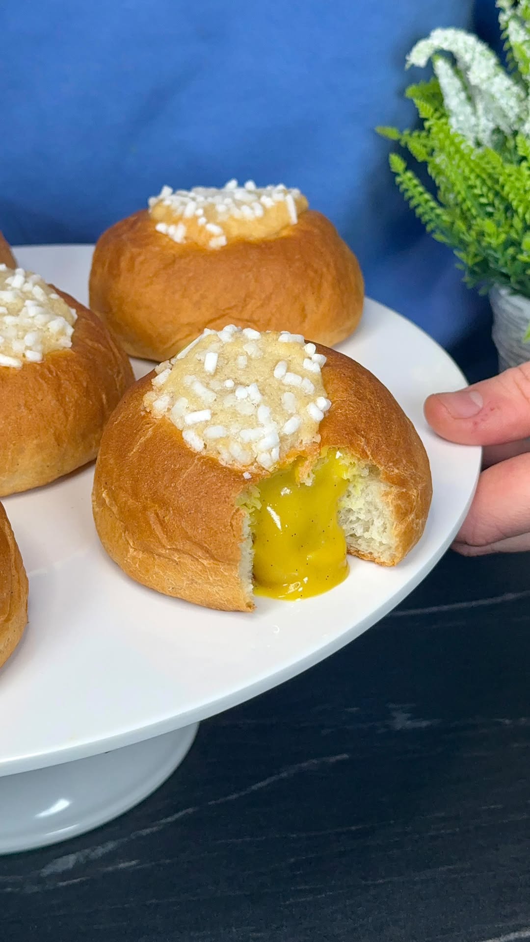 Vegan Italian Veneziane Pastries