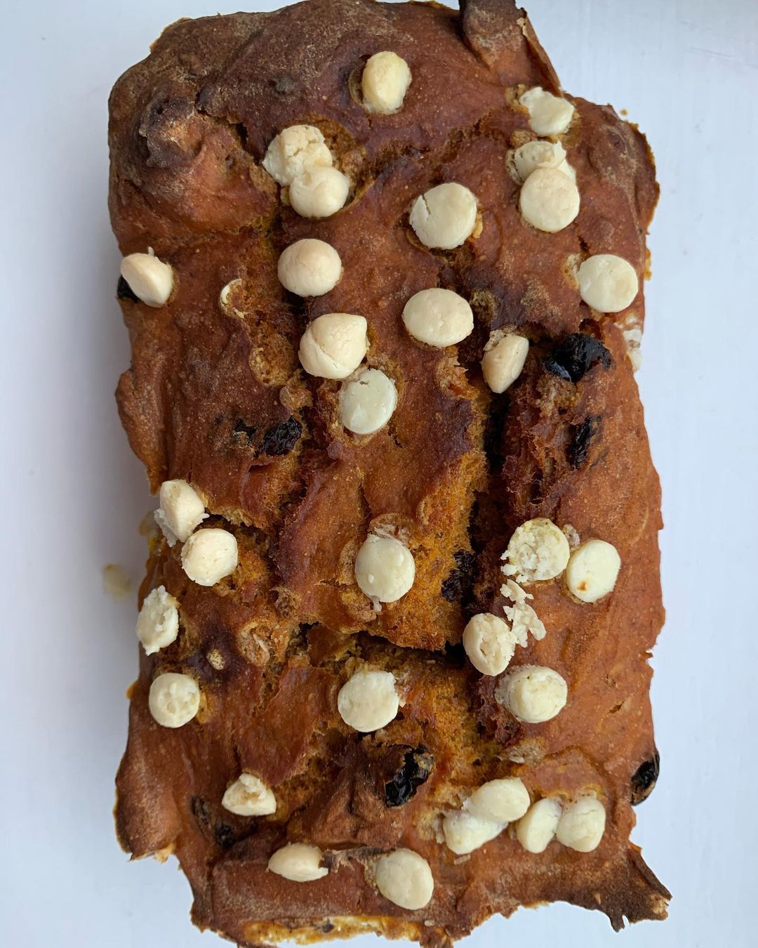 Fudgy Vegan Pumpkin White Choc Loaf