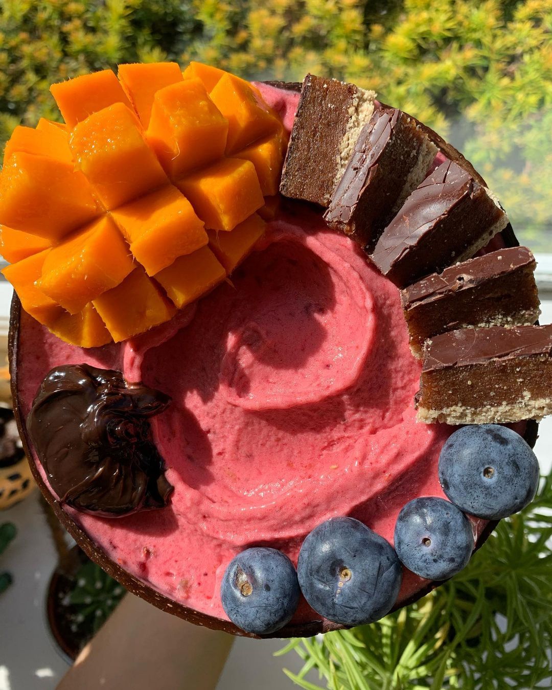 Fruity Nice Cream with Millionaires Toppings
