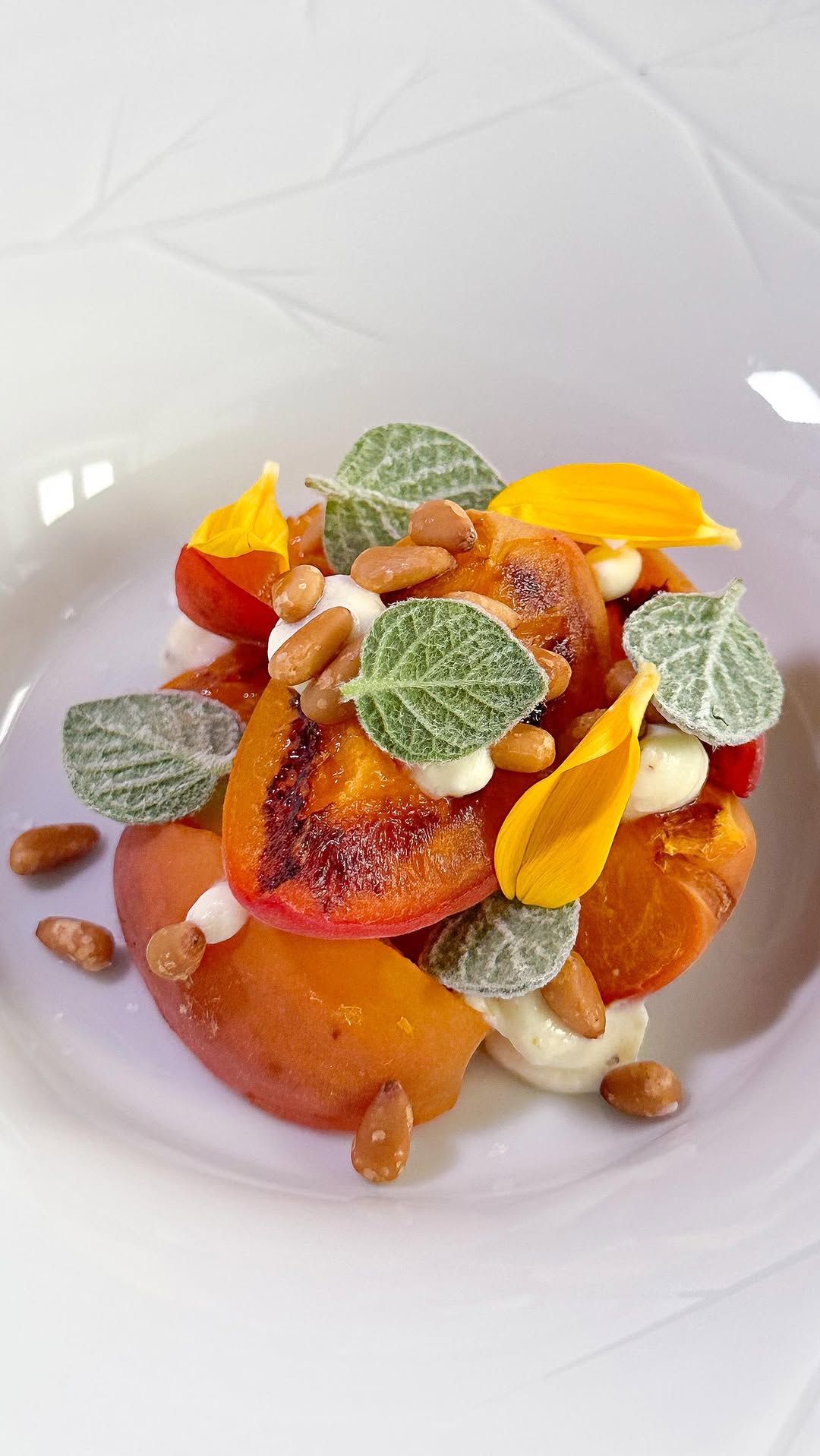 Caramelized Apricots with Toasted Pine Nuts and Alpine Cheese Cream