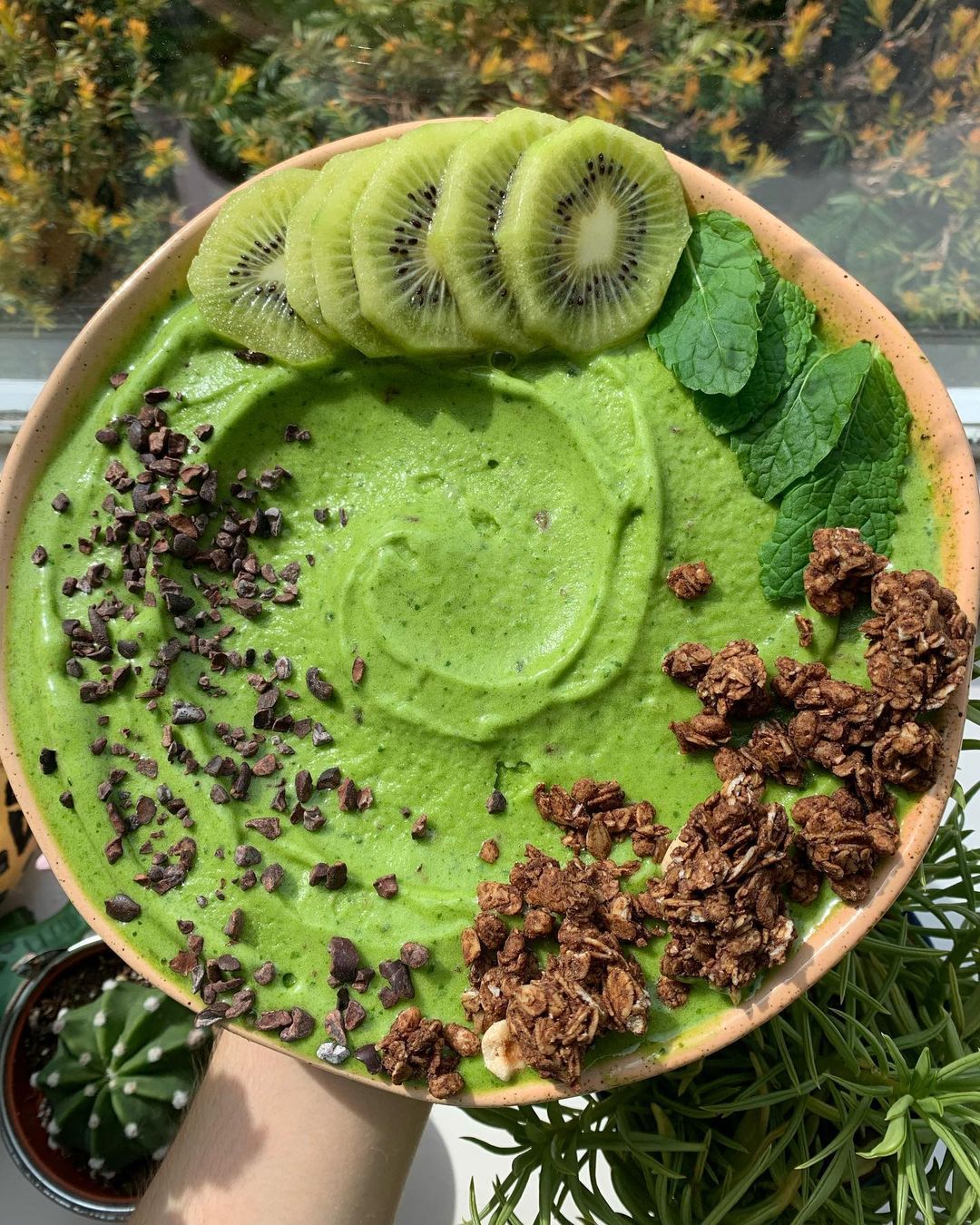Mint Chocolate Chip Nice Cream Bowl
