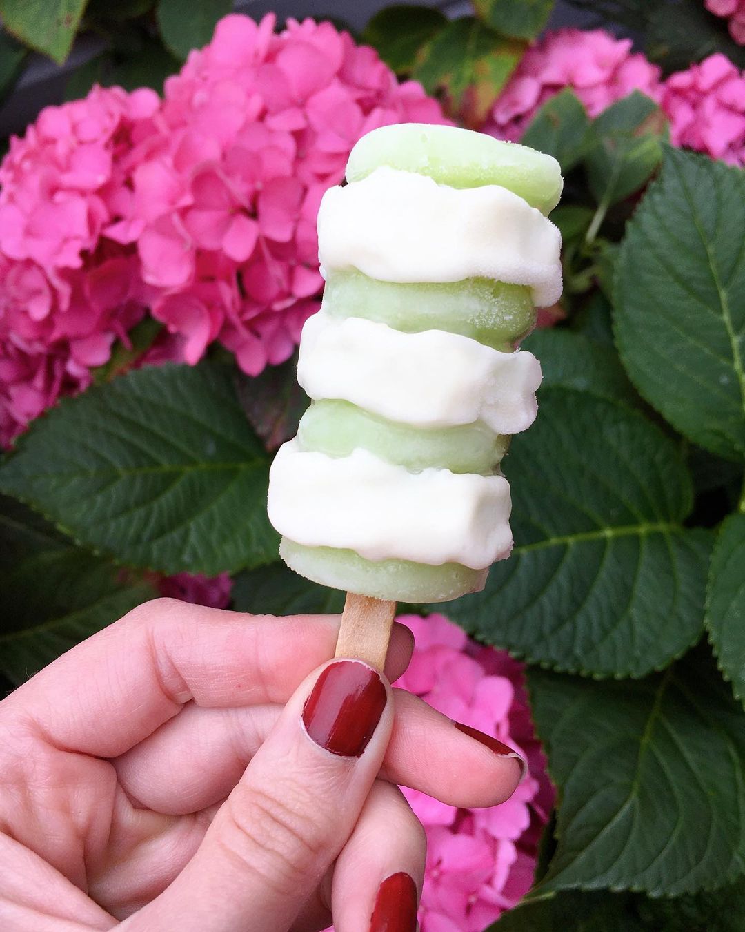 Homemade Vegan Twister Ice Lollies